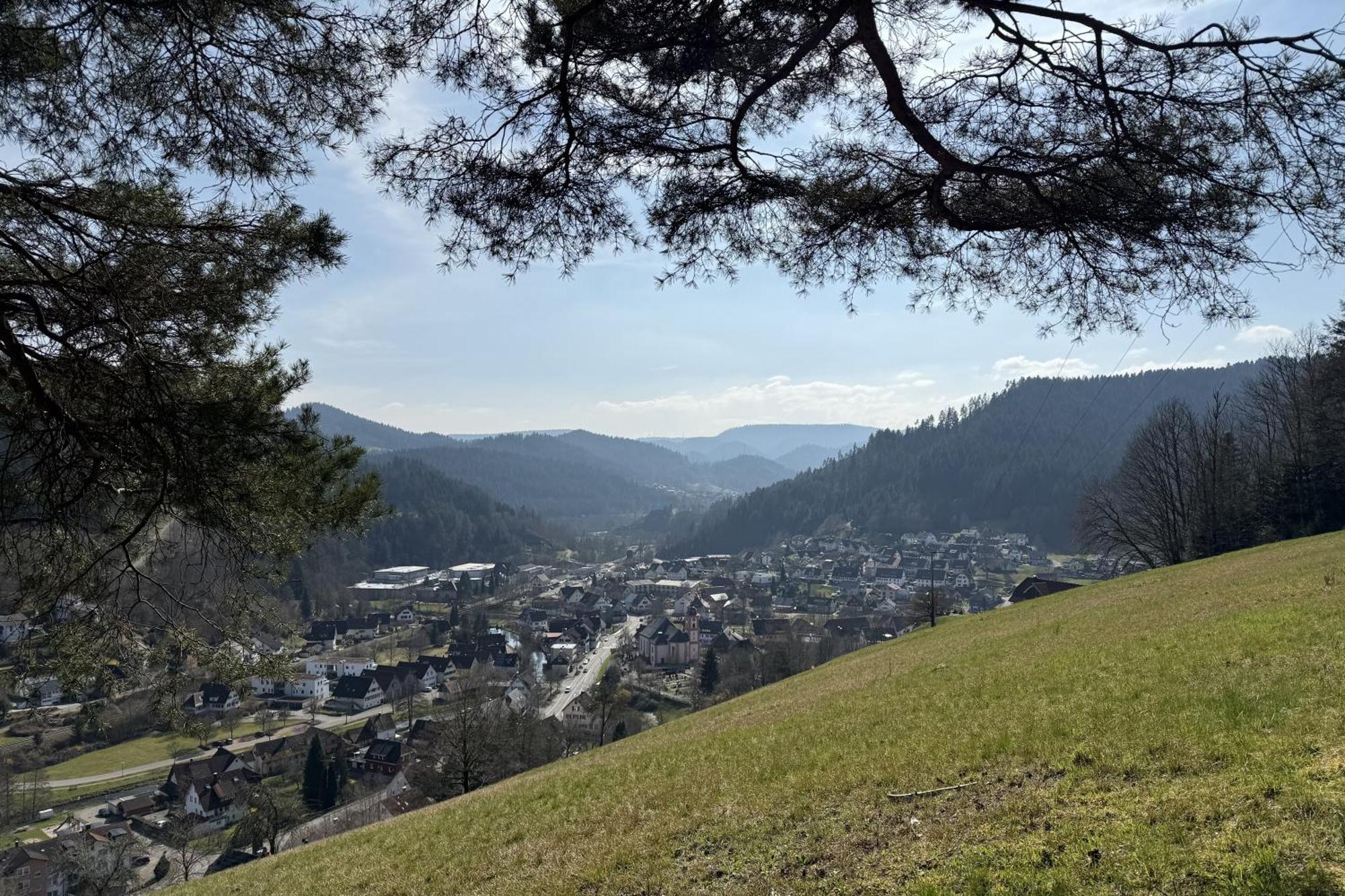 Schwarzwald Blockhaus - Sauna - Kamin - Mit Bettwaesche Und Handtuecher Schenkenzell Bagian luar foto