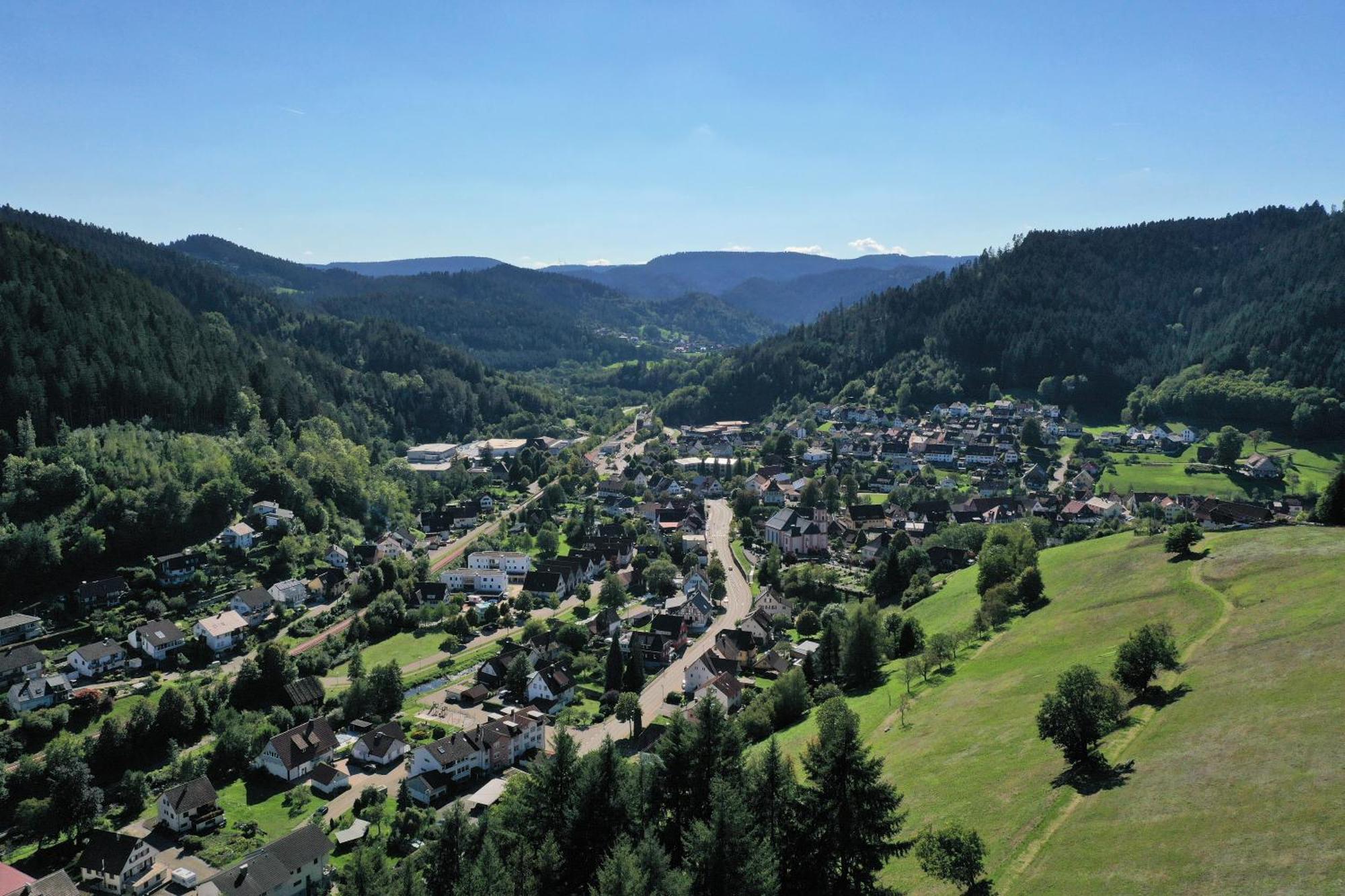Schwarzwald Blockhaus - Sauna - Kamin - Mit Bettwaesche Und Handtuecher Schenkenzell Bagian luar foto
