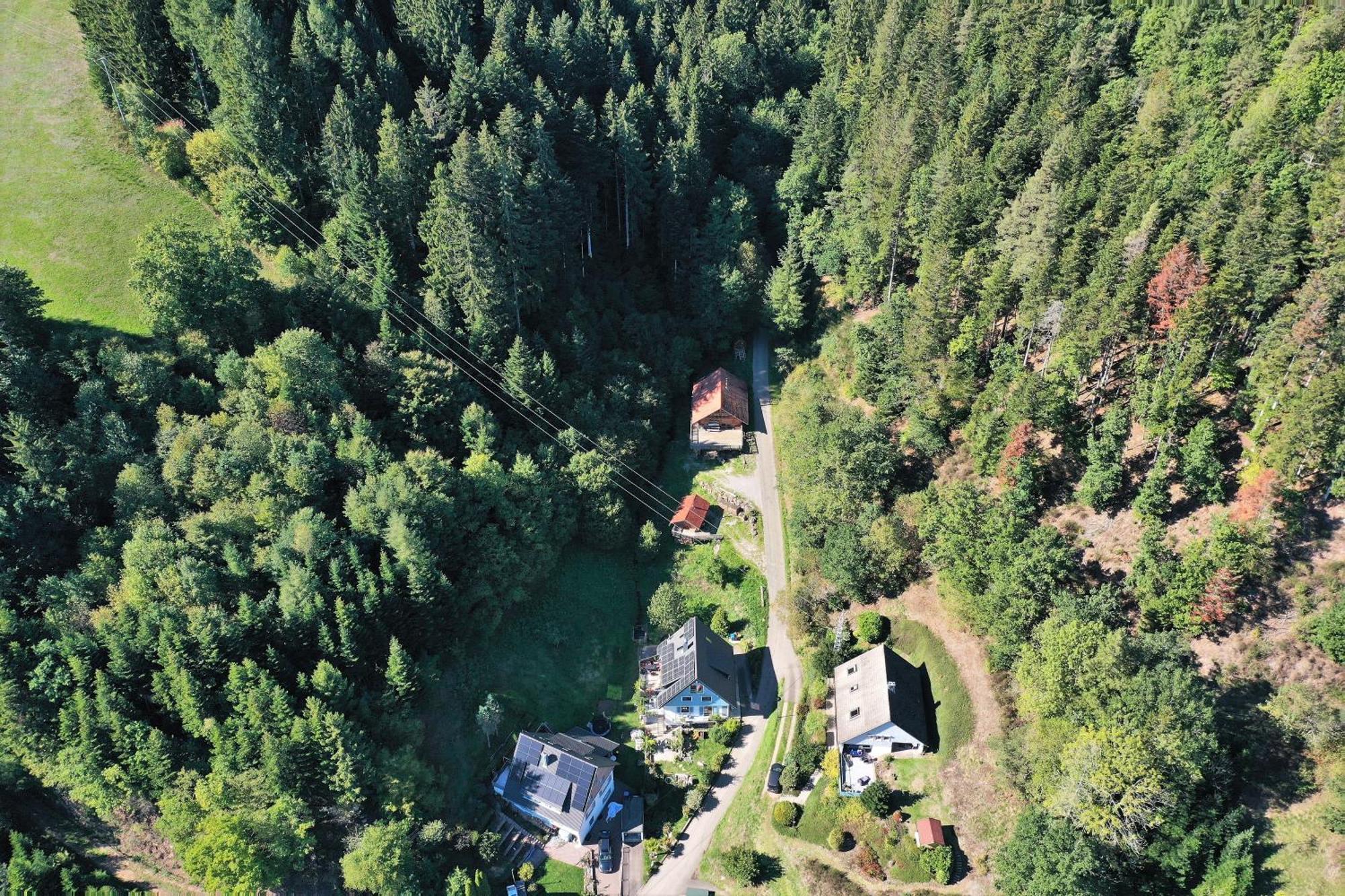 Schwarzwald Blockhaus - Sauna - Kamin - Mit Bettwaesche Und Handtuecher Schenkenzell Bagian luar foto